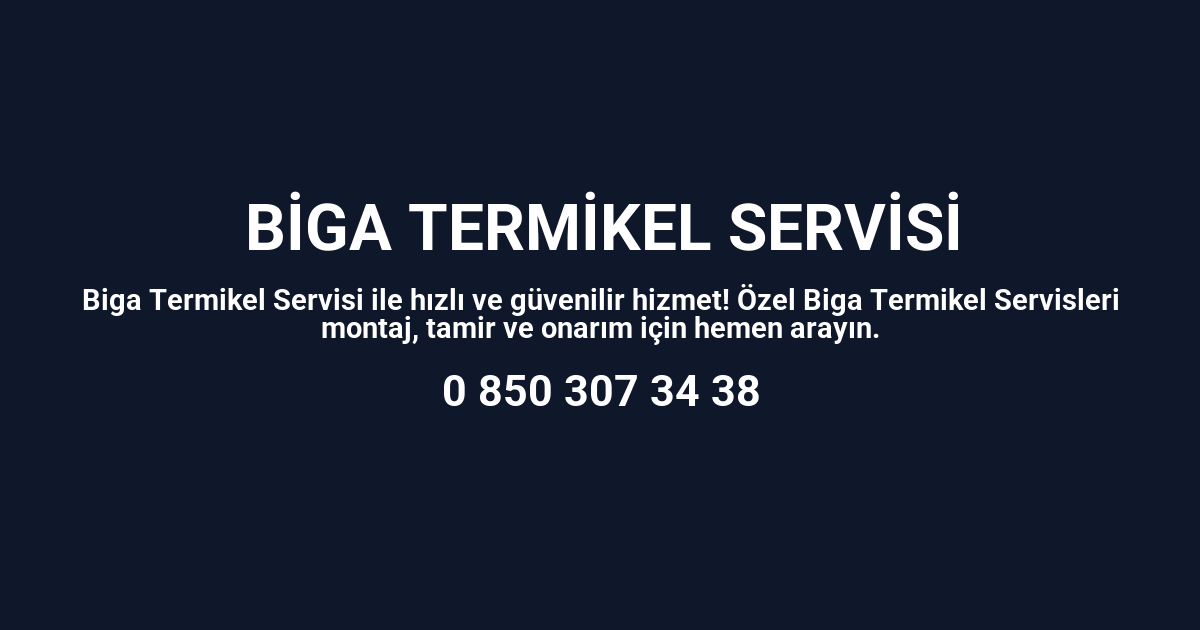 Biga Termikel Servisi